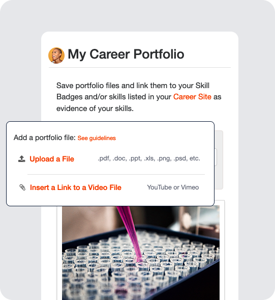 Toolkit - Career Portfolio